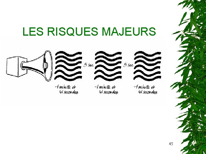 LES RISQUES MAJEURS 45 