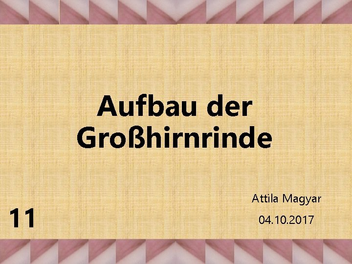 Aufbau der Großhirnrinde 11 Attila Magyar 04. 10. 2017 