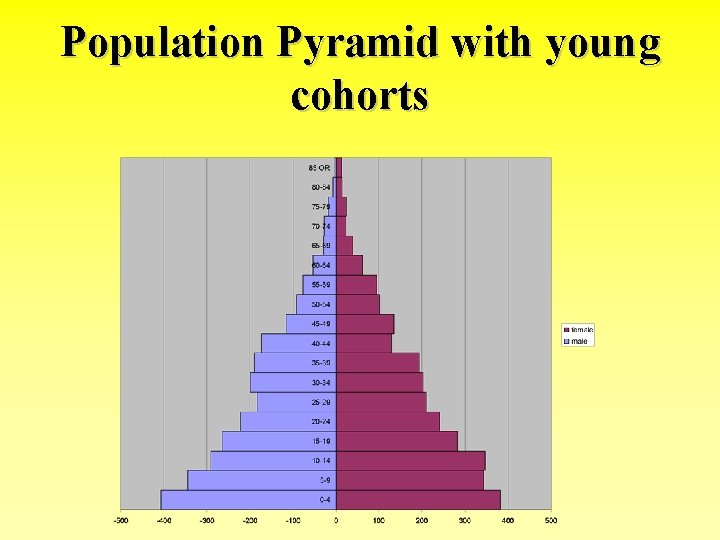 Population Pyramid with young cohorts 