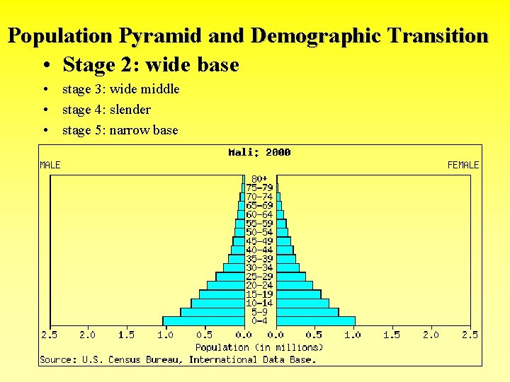 Population Pyramid and Demographic Transition • Stage 2: wide base • stage 3: wide