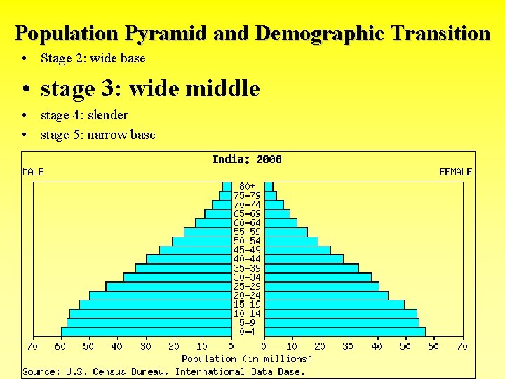 Population Pyramid and Demographic Transition • Stage 2: wide base • stage 3: wide