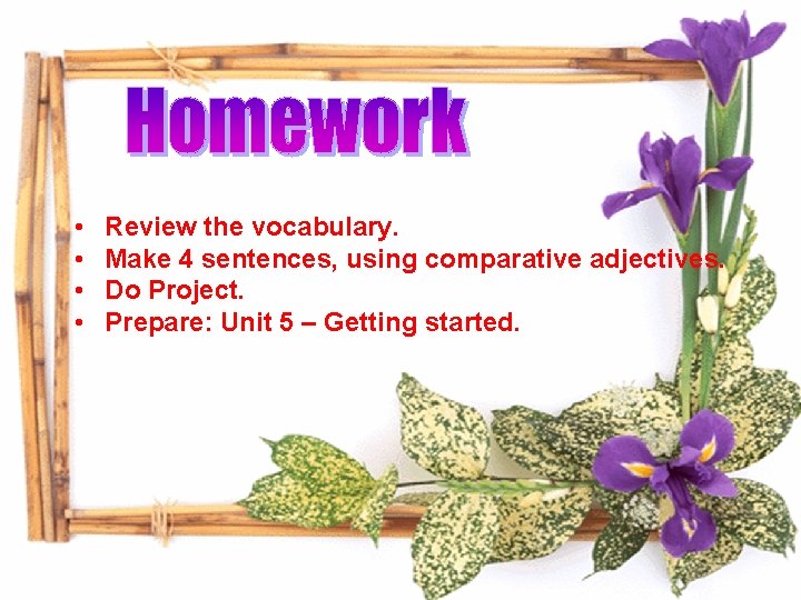  • • Review the vocabulary. Make 4 sentences, using comparative adjectives. Do Project.