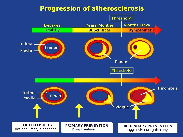 Progression of atherosclerosis Threshold Decades Healthy Intima Media Years-Months Subclinical Months-Days Symptomatic Lumen Plaque