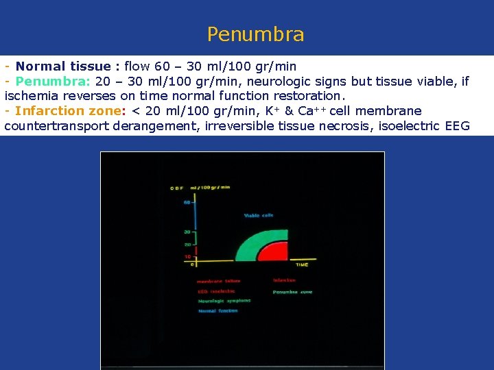 Penumbra - Normal tissue : flow 60 – 30 ml/100 gr/min - Penumbra: 20