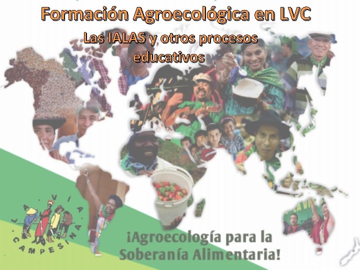 Formación Agroecológica en LVC Las IALAS y otros procesos educativos 