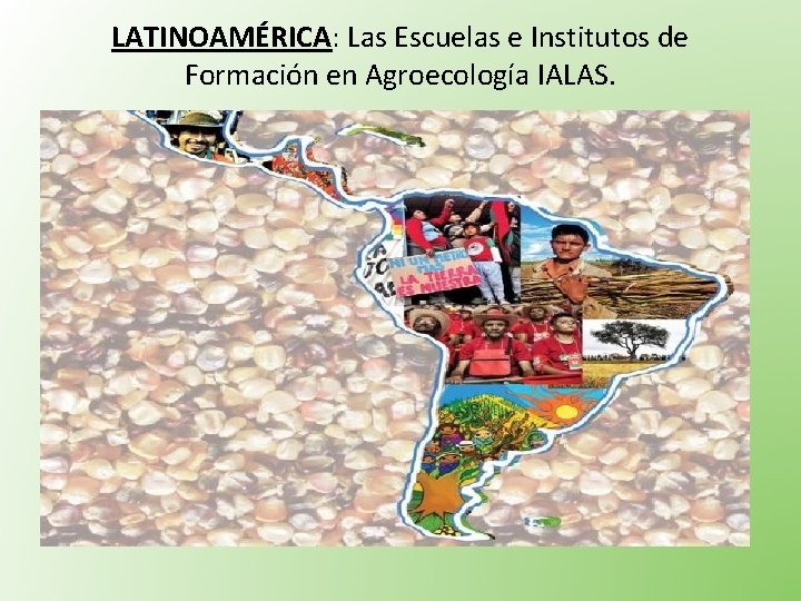 LATINOAMÉRICA: Las Escuelas e Institutos de Formación en Agroecología IALAS. 