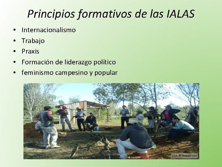 Principios formativos de las IALAS • • • Internacionalismo Trabajo Praxis Formación de liderazgo