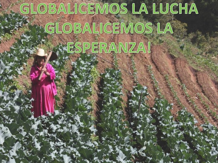 GLOBALICEMOS LA LUCHA GLOBALICEMOS LA ESPERANZA! 