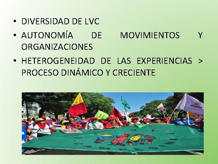  • DIVERSIDAD DE LVC • AUTONOMÍA DE MOVIMIENTOS Y ORGANIZACIONES • HETEROGENEIDAD DE