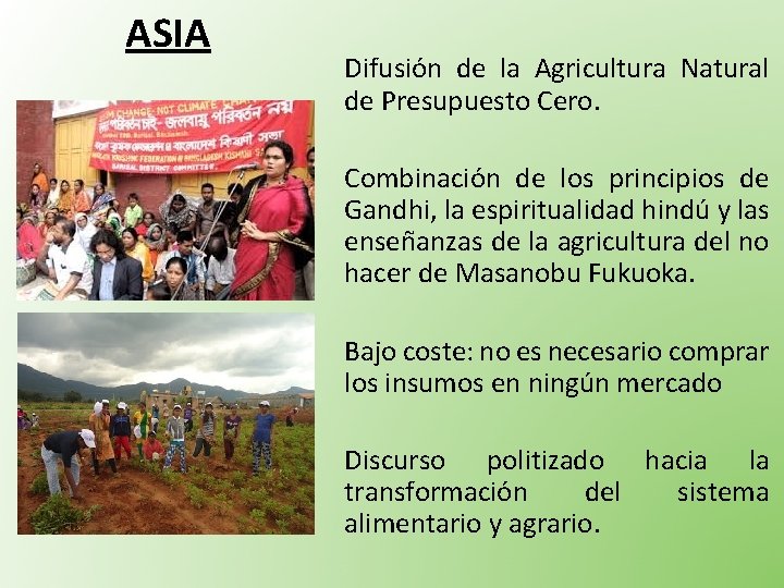 ASIA Difusión de la Agricultura Natural de Presupuesto Cero. Combinación de los principios de