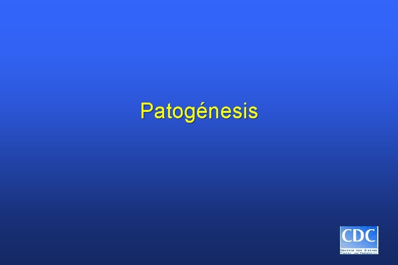 Patogénesis 