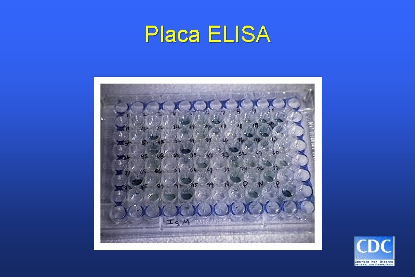 Placa ELISA 