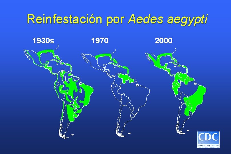 Reinfestación por Aedes aegypti 1930 s 1970 2000 