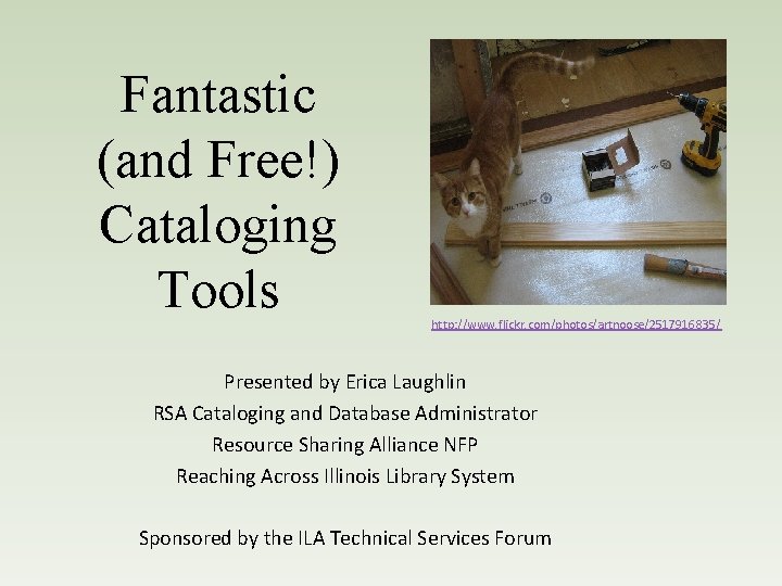 Fantastic (and Free!) Cataloging Tools http: //www. flickr. com/photos/artnoose/2517916835/ Presented by Erica Laughlin RSA