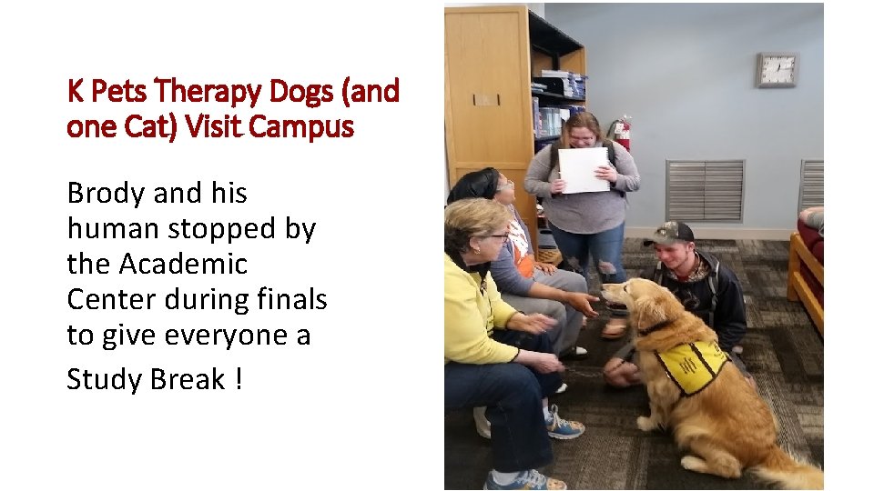 K Pets Therapy Dogs (and one Cat) Visit Campus Brody and his human stopped