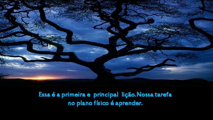 Essa é a primeira e principal lição. Nossa tarefa no plano físico é aprender.