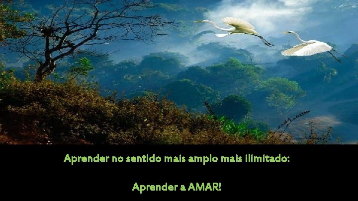 Aprender no sentido mais amplo mais ilimitado: Aprender a AMAR! 