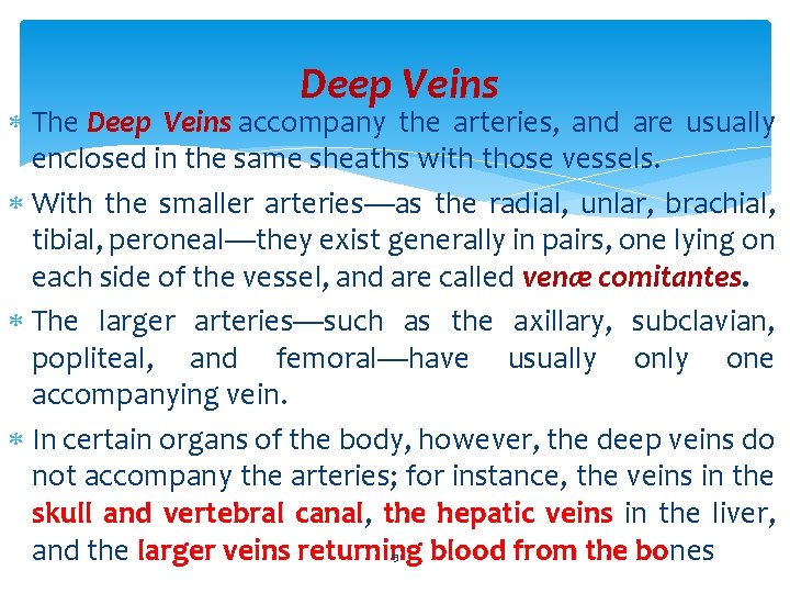  Deep Veins The Deep Veins accompany the arteries, and are usually enclosed in