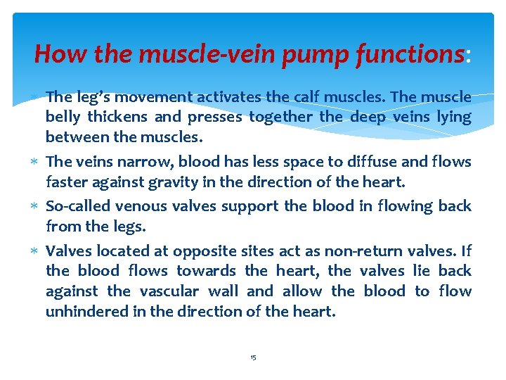 How the muscle-vein pump functions: The leg’s movement activates the calf muscles. The muscle