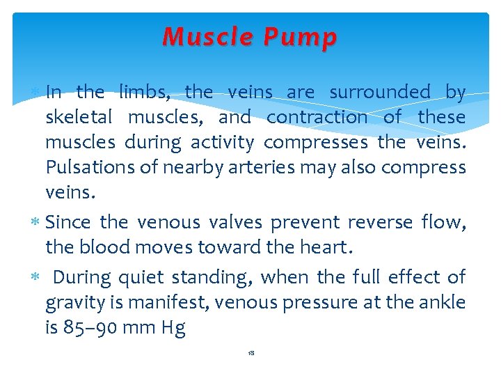 Muscle Pump In the limbs, the veins are surrounded by skeletal muscles, and contraction