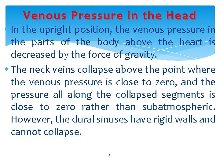 Venous Pressure in the Head In the upright position, the venous pressure in the