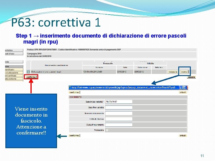 P 63: correttiva 1 Step 1 → inserimento documento di dichiarazione di errore pascoli