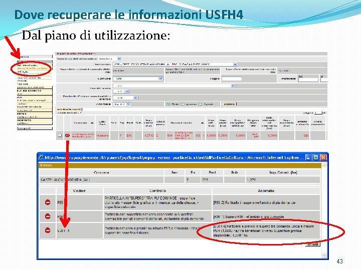 Dove recuperare le informazioni USFH 4 Dal piano di utilizzazione: 43 