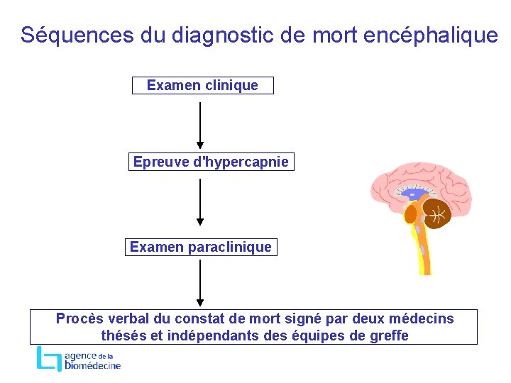 Séquences du diagnostic de mort encéphalique Examen clinique Epreuve d'hypercapnie Examen paraclinique Procès verbal