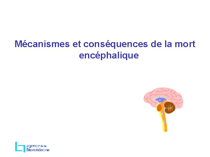 Mécanismes et conséquences de la mort encéphalique 