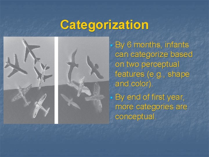 Categorization § By 6 months, infants can categorize based on two perceptual features (e.