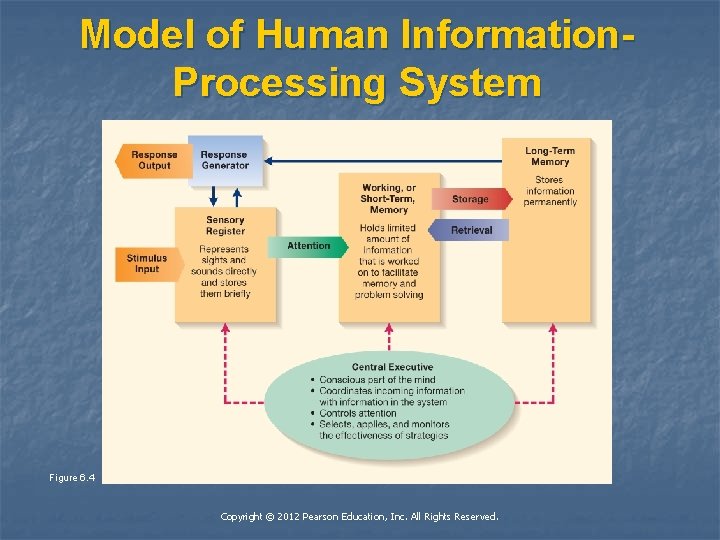 Model of Human Information. Processing System Figure 6. 4 Copyright © 2012 Pearson Education,