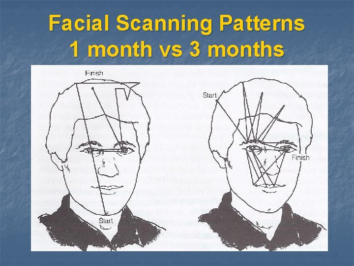 Facial Scanning Patterns 1 month vs 3 months 