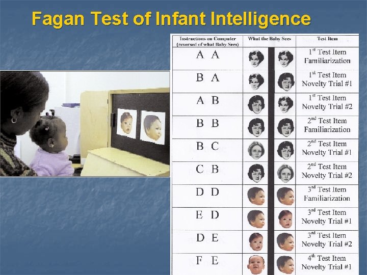 Fagan Test of Infant Intelligence 