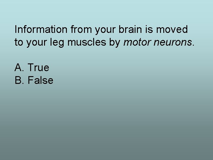 Information from your brain is moved to your leg muscles by motor neurons. A.