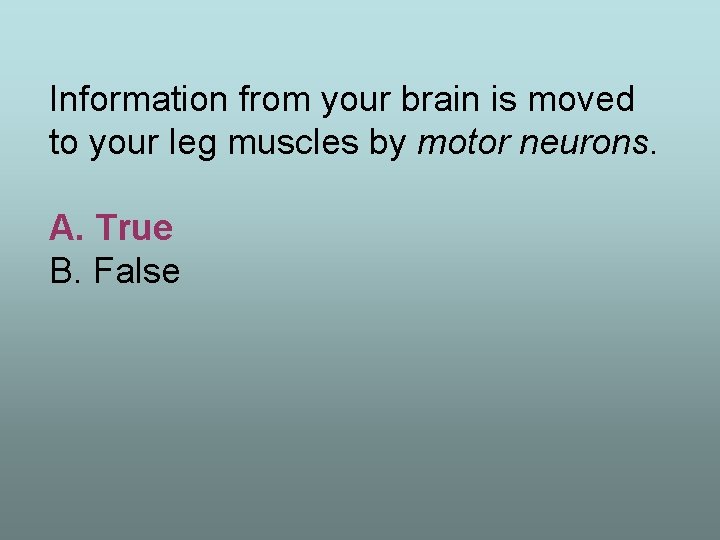 Information from your brain is moved to your leg muscles by motor neurons. A.