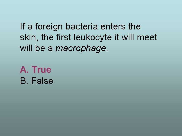 If a foreign bacteria enters the skin, the first leukocyte it will meet will