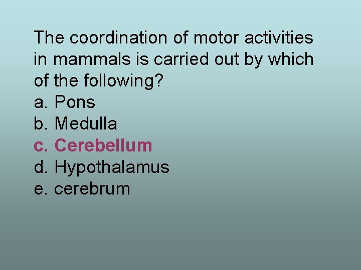 The coordination of motor activities in mammals is carried out by which of the