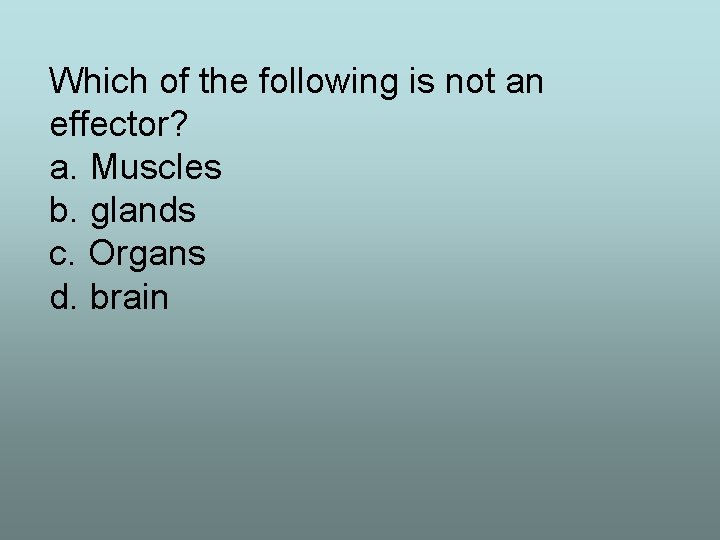 Which of the following is not an effector? a. Muscles b. glands c. Organs