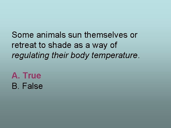 Some animals sun themselves or retreat to shade as a way of regulating their