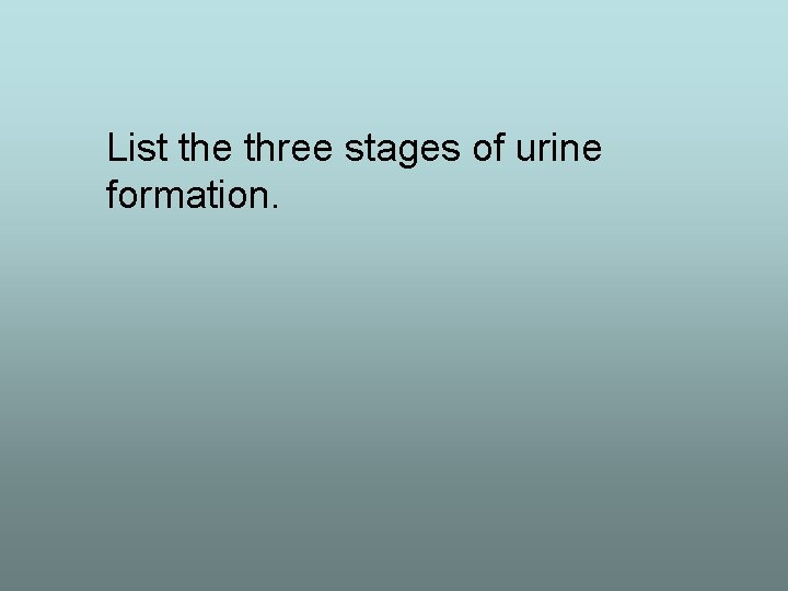 List the three stages of urine formation. 