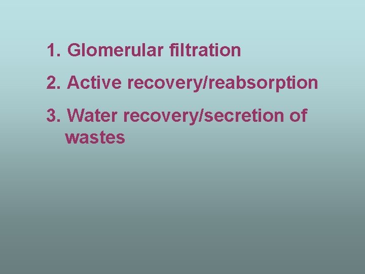 1. Glomerular filtration 2. Active recovery/reabsorption 3. Water recovery/secretion of wastes 