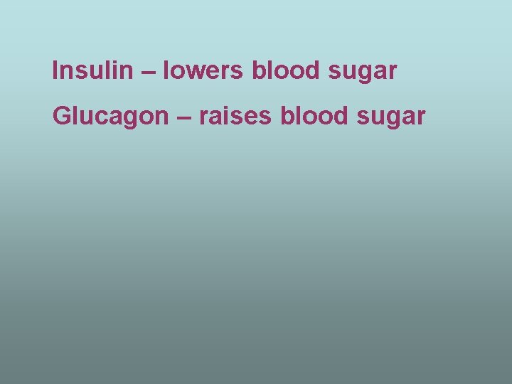 Insulin – lowers blood sugar Glucagon – raises blood sugar 