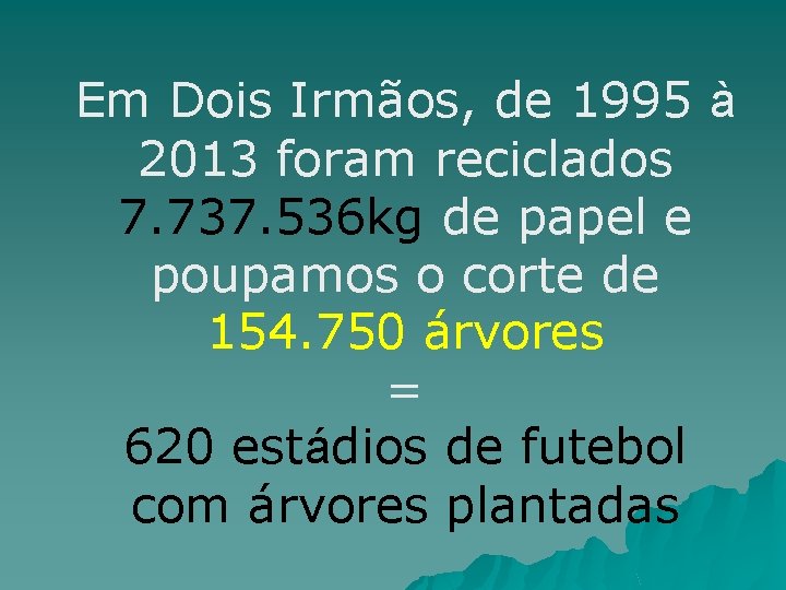 Em Dois Irmãos, de 1995 à 2013 foram reciclados 7. 737. 536 kg de