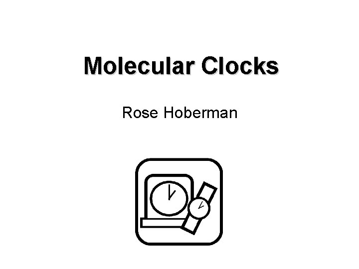 Molecular Clocks Rose Hoberman 