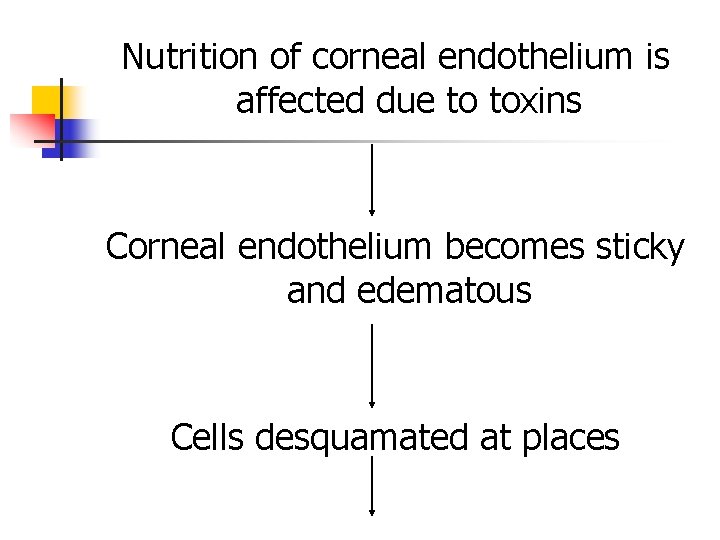 Nutrition of corneal endothelium is affected due to toxins Corneal endothelium becomes sticky and Nutrition of corneal endothelium is affected due to toxins Corneal endothelium becomes sticky and