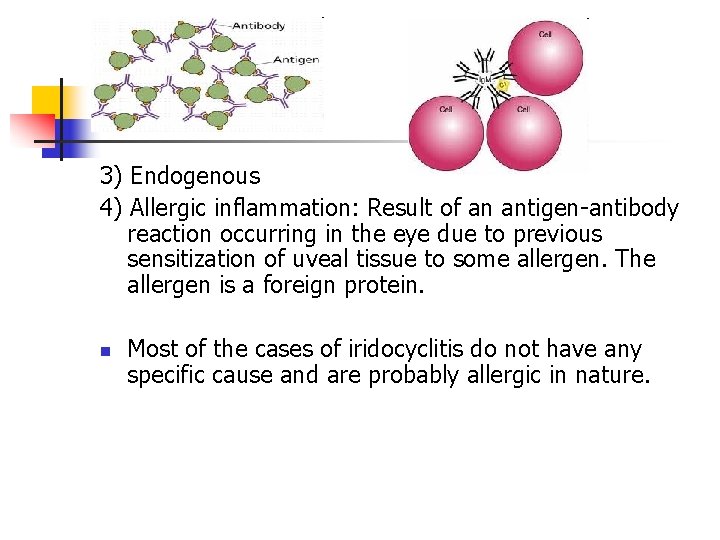 3) Endogenous 4) Allergic inflammation: Result of an antigen-antibody reaction occurring in the eye 3) Endogenous 4) Allergic inflammation: Result of an antigen-antibody reaction occurring in the eye
