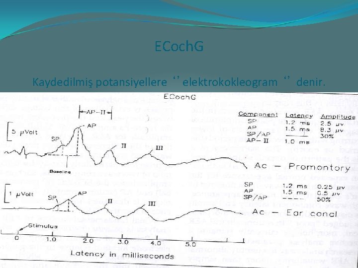ECoch. G Kaydedilmiş potansiyellere ‘’elektrokokleogram ‘’ denir. 