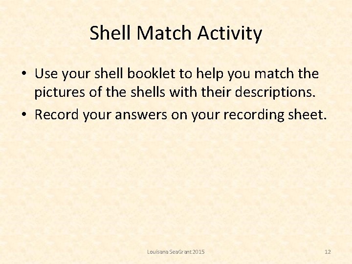 Shell Match Activity • Use your shell booklet to help you match the pictures