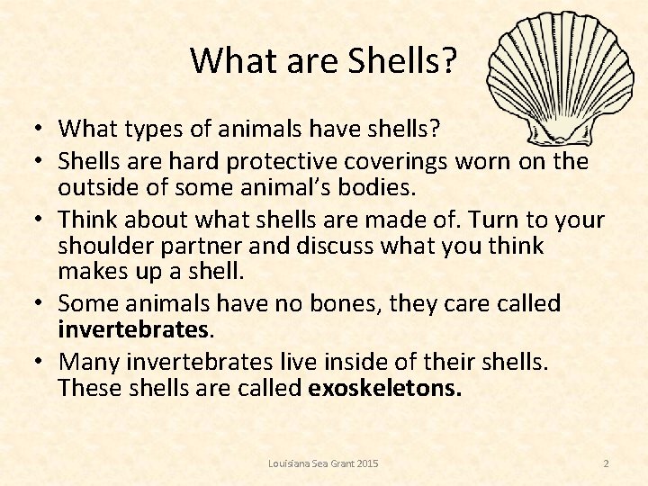 What are Shells? • What types of animals have shells? • Shells are hard
