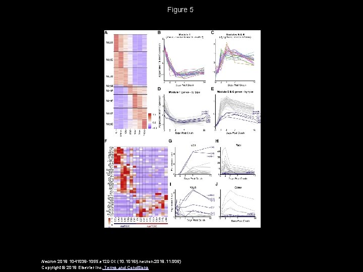 Figure 5 Neuron 2019 1041039 -1055. e 12 DOI: (10. 1016/j. neuron. 2019. 11.